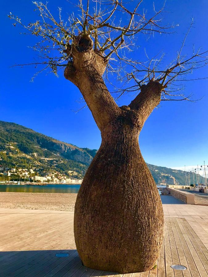 Longue 1 Menton Daire Dış mekan fotoğraf